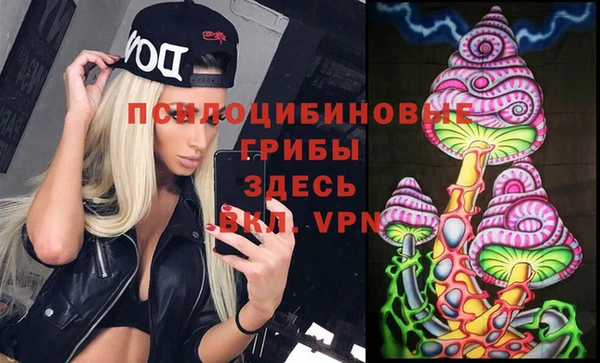 СК Заволжск