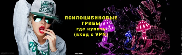 СК Заволжск