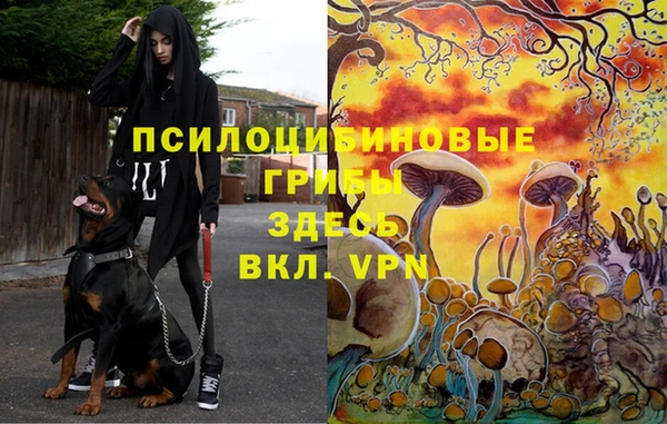 СК Заволжск
